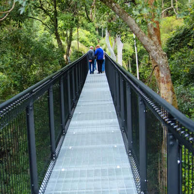 View of Tamborine Mountain Rainforest Skywalk