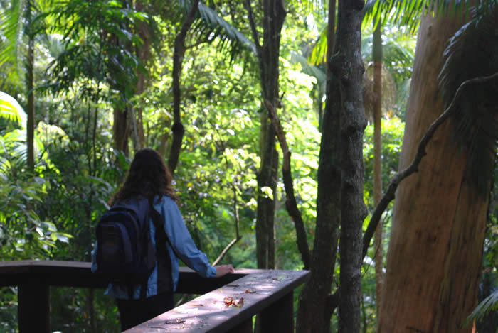 Walking Track with Lookout and brilliant natural views