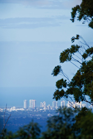 walking-trail-views-gold-coast